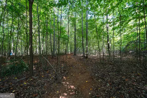 12 Bunch Rd, Tignall, GA 30668 photo 29