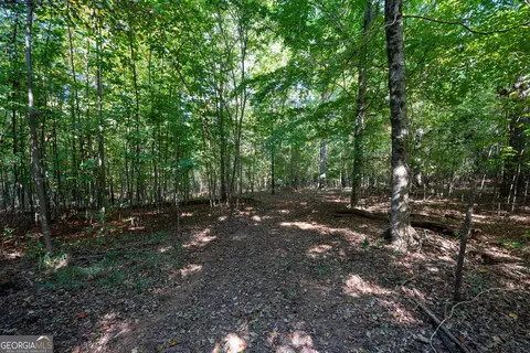 12 Bunch Rd, Tignall, GA 30668 photo 32