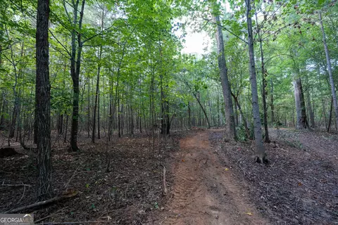 12 Bunch Rd, Tignall, GA 30668 photo 20
