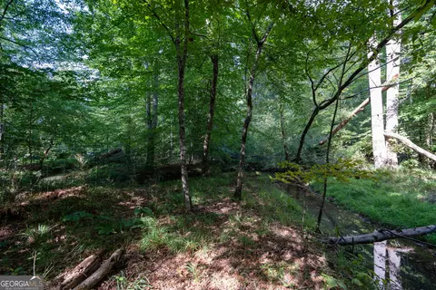 12 Bunch Rd, Tignall, GA 30668 photo 51