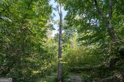 12 Bunch Rd, Tignall, GA 30668 photo 44