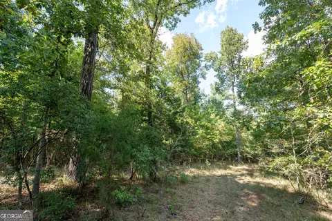 12 Bunch Rd, Tignall, GA 30668 photo 39