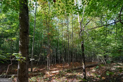 12 Bunch Rd, Tignall, GA 30668 photo 53
