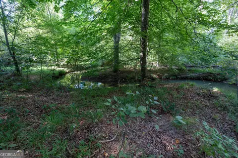 12 Bunch Rd, Tignall, GA 30668 photo 3