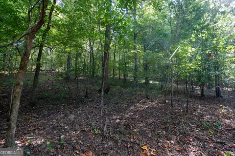 12 Bunch Rd, Tignall, GA 30668 photo 56