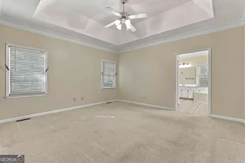 Other - 255 Weeping Willow Way, Tyrone, GA 30290 photo 5 of 6