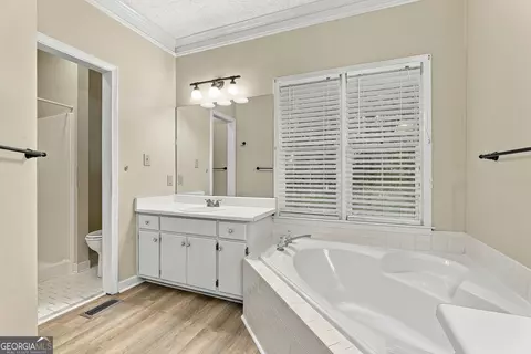 Bath - 255 Weeping Willow Way, Tyrone, GA 30290 photo 2 of 5