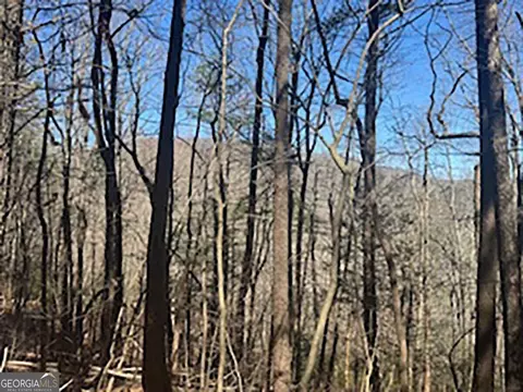 lot14 Butler Creek Rd, Cherry Log, GA 30522