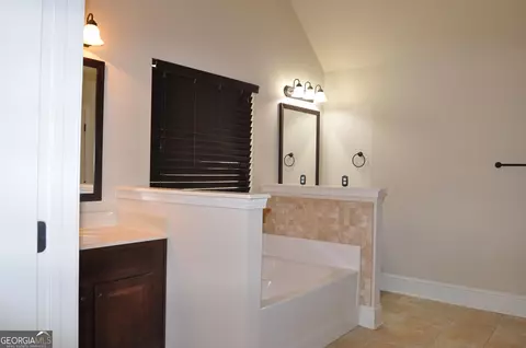 Bath - 337 Snow Bird Dr, Hampton, GA 30228 photo 3 of 4