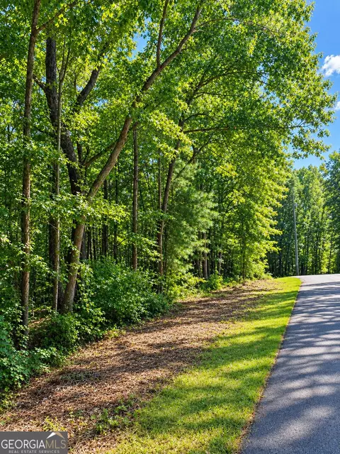 lot24 Oak Ct, Toccoa, GA 30577 photo 2