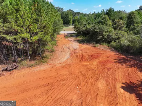 0 Cashtown Road - Tract 2 #TRACT 2, Aragon, GA 30104 photo 5