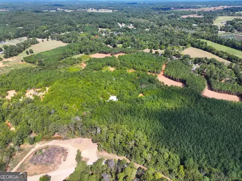 0 Cashtown Road - Tract 2 #TRACT 2, Aragon, GA 30104 photo 25