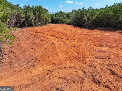 0 Cashtown Road - Tract 2 #TRACT 2, Aragon, GA 30104 photo 7
