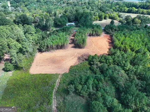 0 Cashtown Road - Tract 2 #TRACT 2, Aragon, GA 30104 photo 21