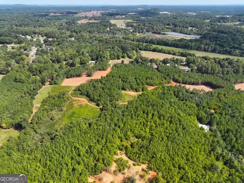 0 Cashtown Road - Tract 2 #TRACT 2, Aragon, GA 30104 photo 26