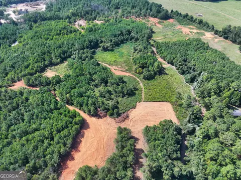 0 Cashtown Road - Tract 2 #TRACT 2, Aragon, GA 30104 photo 28