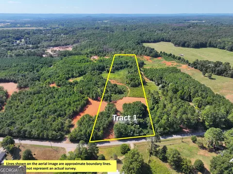 0 Cashtown Road - Tract 2 #TRACT 2, Aragon, GA 30104 photo 3