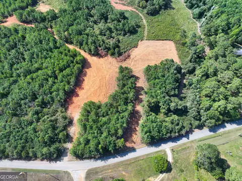 0 Cashtown Road - Tract 2 #TRACT 2, Aragon, GA 30104 photo 4