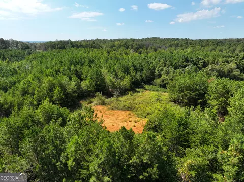 0 Cashtown Road - Tract 2 #TRACT 2, Aragon, GA 30104 photo 18