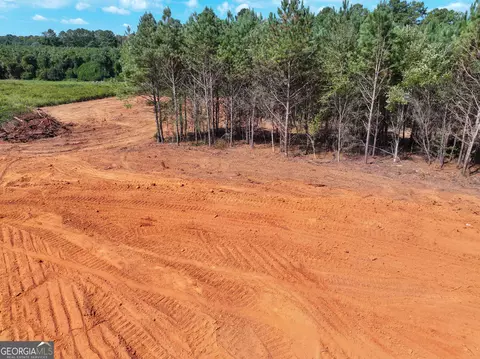 0 Cashtown Road - Tract 2 #TRACT 2, Aragon, GA 30104 photo 9