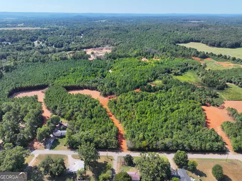 0 Cashtown Road - Tract 3 #TRACT 3, Aragon, GA 30104 photo 28