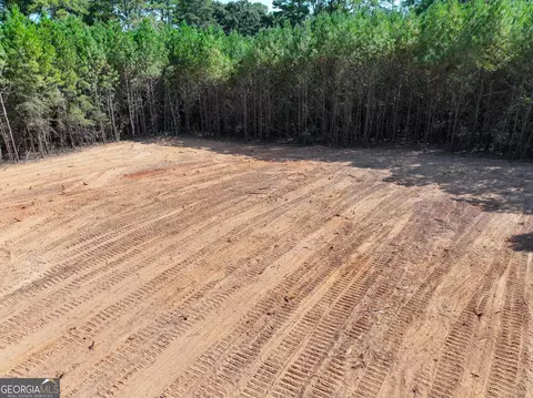 0 Cashtown Road - Tract 3 #TRACT 3, Aragon, GA 30104 photo 8