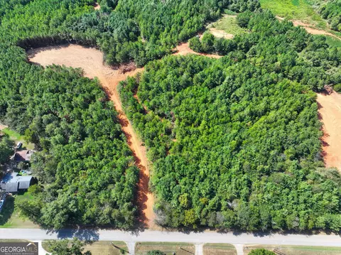 0 Cashtown Road - Tract 3 #TRACT 3, Aragon, GA 30104 photo 27