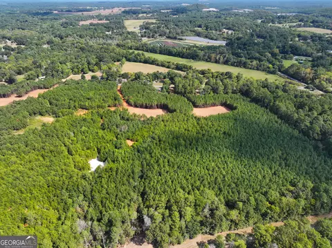 0 Cashtown Road - Tract 3 #TRACT 3, Aragon, GA 30104 photo 21