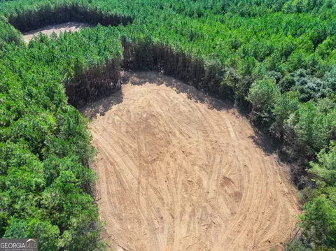 0 Cashtown Road - Tract 3 #TRACT 3, Aragon, GA 30104 photo 5