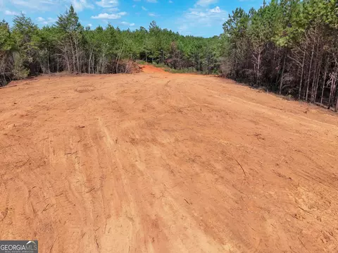 0 Cashtown Road - Tract 3 #TRACT 3, Aragon, GA 30104 photo 4