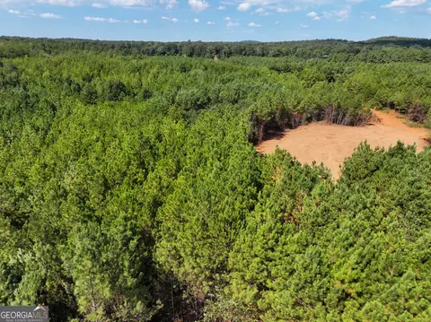 0 Cashtown Road - Tract 3 #TRACT 3, Aragon, GA 30104 photo 9