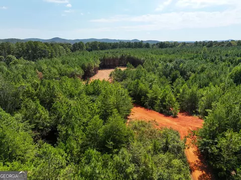0 Cashtown Road - Tract 3 #TRACT 3, Aragon, GA 30104 photo 13