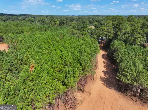 0 Cashtown Road - Tract 3 #TRACT 3, Aragon, GA 30104 photo 17