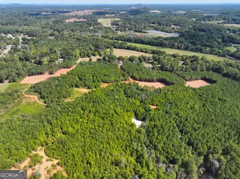 0 Cashtown Road - Tract 3 #TRACT 3, Aragon, GA 30104 photo 22