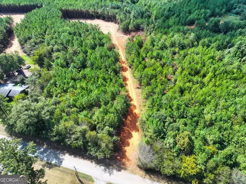 0 Cashtown Road - Tract 3 #TRACT 3, Aragon, GA 30104 photo 6