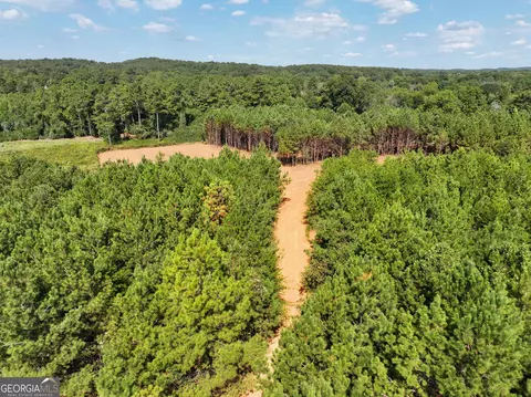 0 Cashtown Road - Tract 3 #TRACT 3, Aragon, GA 30104 photo 11