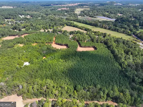 0 Cashtown Road - Tract 3 #TRACT 3, Aragon, GA 30104 photo 10