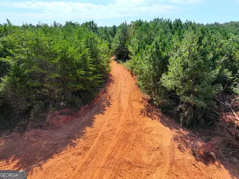 0 Cashtown Road - Tract 3 #TRACT 3, Aragon, GA 30104 photo 14