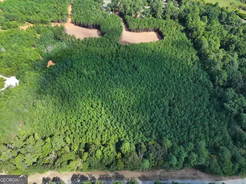 0 Cashtown Road - Tract 3 #TRACT 3, Aragon, GA 30104 photo 20