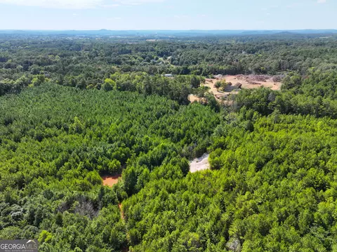 0 Cashtown Road - Tract 3 #TRACT 3, Aragon, GA 30104 photo 29