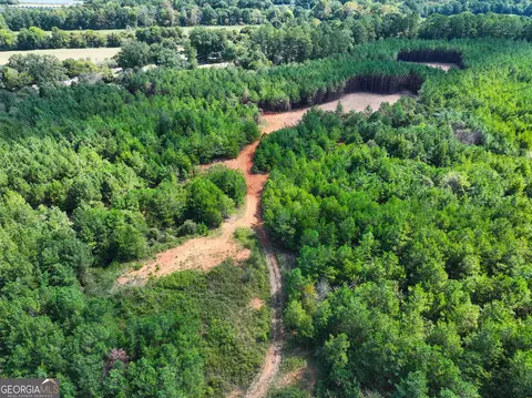 0 Cashtown Road - Tract 3 #TRACT 3, Aragon, GA 30104 photo 18