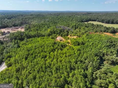 0 Cashtown Road - Tract 3 #TRACT 3, Aragon, GA 30104 photo 30