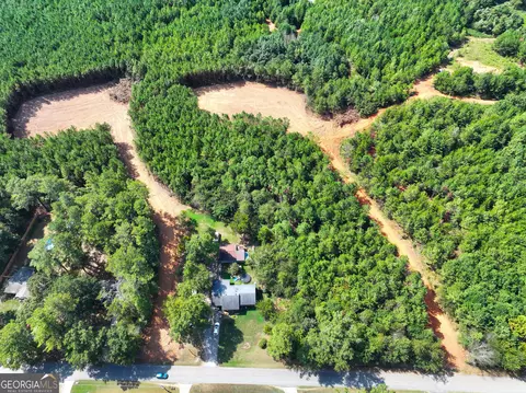0 Cashtown Road - Tract 3 #TRACT 3, Aragon, GA 30104 photo 3