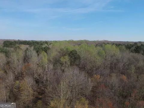 0 Cobb Rd, Covington, GA 30014 photo 2