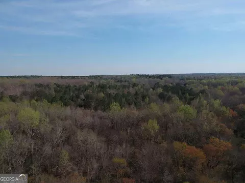 0 Cobb Rd, Covington, GA 30014 photo 10