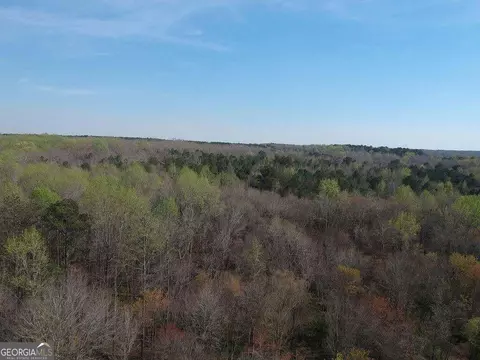 0 Cobb Rd, Covington, GA 30014 photo 6