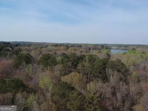 0 Cobb Rd, Covington, GA 30014 photo 8