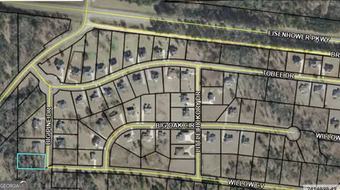 207 Big Pine Dr, Lizella, GA 31052