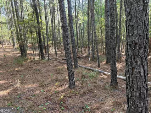 672 Twin Bridges Rd, Eatonton, GA 31024