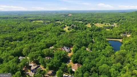 View/Area - 110 Fall Pippin Ct, Clarkesville, GA 30523 photo 7 of 7
